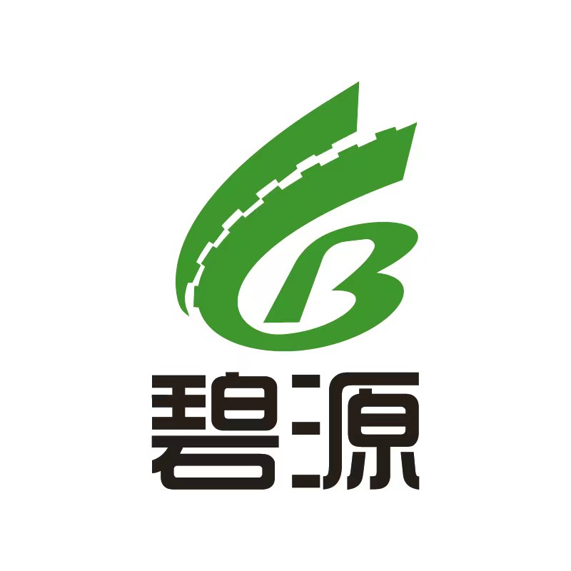 武漢碧源新環(huán)科技有限公司